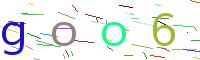 Verify Code