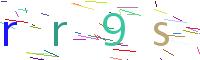Verify Code
