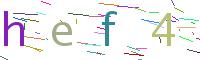 Verify Code
