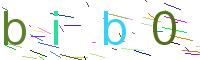 Verify Code