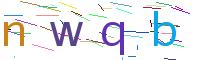 codice di verifica