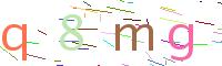 Verify Code