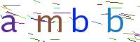 Verify Code