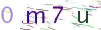 Verify Code