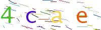 Verify Code