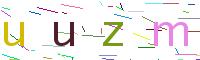 Verify Code