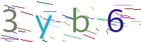 Verify Code