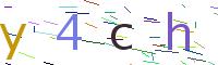 Verify Code