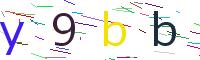 Verify Code