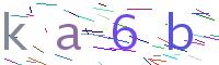 Verify Code