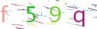 Verify Code