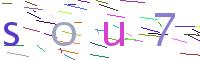Verify Code