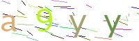 Verify Code