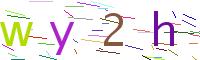 Verify Code