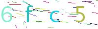 Verify Code