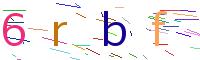 Verify Code