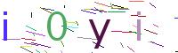 Verify Code