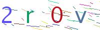 Verify Code