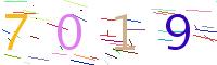 Verify Code