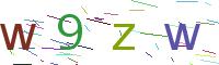 Verify Code
