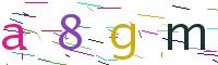 Verify Code