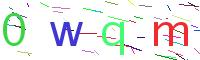 Verify Code