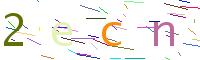 Verify Code