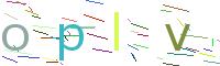 Bestätigungs-Code
