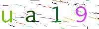 Verify Code
