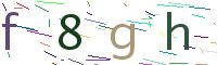 codice di verifica