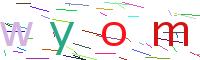 codice di verifica