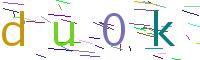 Verify Code