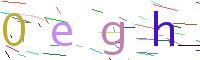 Verify Code