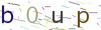codice di verifica