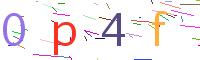 Verify Code