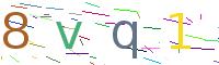 Verify Code