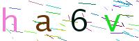 Verify Code