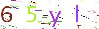 Verify Code