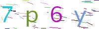 Verify Code