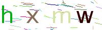 Verify Code