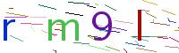 Verify Code