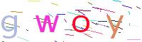 Verify Code