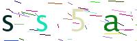 Verify Code
