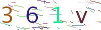 Verify Code