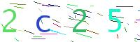 Verify Code