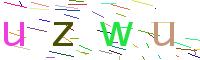 Verify Code