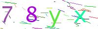Verify Code