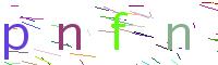 Verify Code