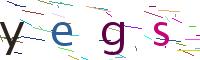 Verify Code